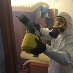Уничтожение клопов в квартире. Говорово